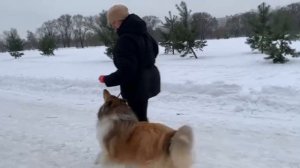 Вик «фус», январь 26