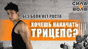 НАКАЧАЙ ТРИЦЕПС
