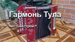 Гармонь Тула. Чистый строй