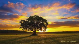 #Коран#аль-Имран#СамыеКрасивыеМеста#Отдых##Ислам#Коран#аль-Имран'#Миншавий #4кВидео#27часть#