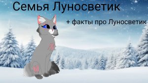 Семья Луносветик+факты про Луносветик||Коты воители||Луносветик КВ||