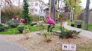 Парк с декоративными элементами в виде розовых фламинго «АНАПА»