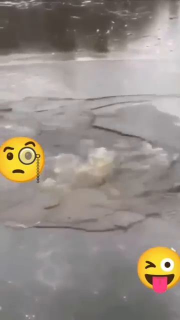 Крещенские купания 👍🤓