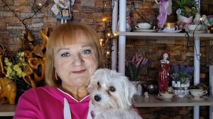 Мне пришёл ответ с сайта Добродел!!!