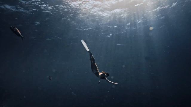 Elements of Paradise Sony FX3 Cinematic смотреть онлайн