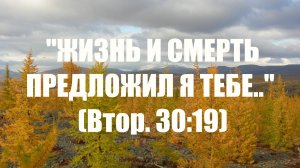 «Сей есть Сын Мой Возлюбленный...»