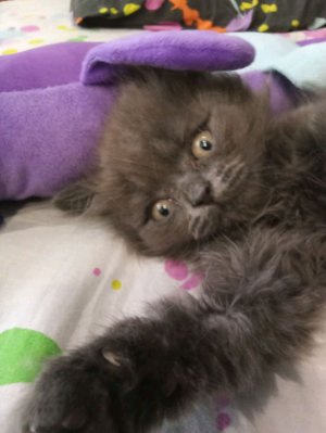 играю/playing!!!!!