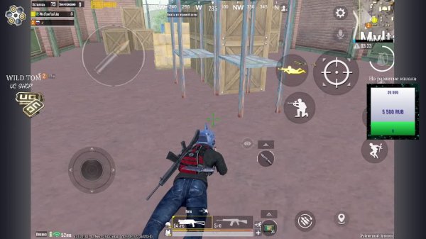 LIVE: WildTom_YouTube