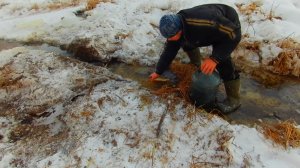 Не успевал собирать рыбу руками.Выпускаю в реку спасённую рыбу. часть 3