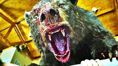 Кокаиновый медведь Официальный дублированный трейлер 2023 смотреть онлайн