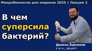 Прокариоты (бактерии)