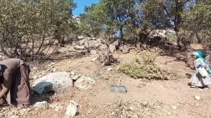 Фильм о семье кочевников Ирана /29 серия