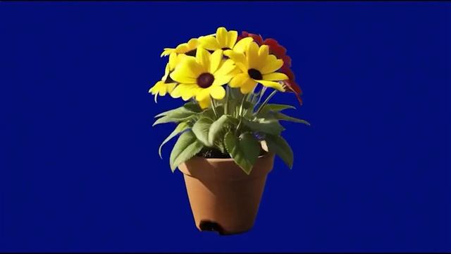 Цветок 01_encoded смотреть онлайн