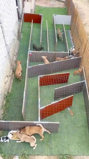 1000103143.mp4 смотреть онлайн