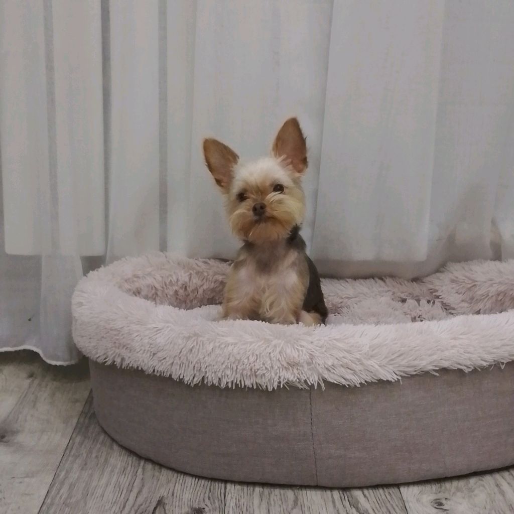 всем привет !!! смотреть онлайн