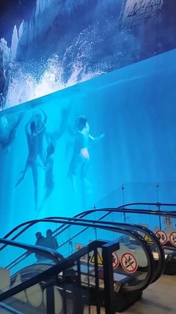 «Путь открывает дорогу к правде и справедливости»