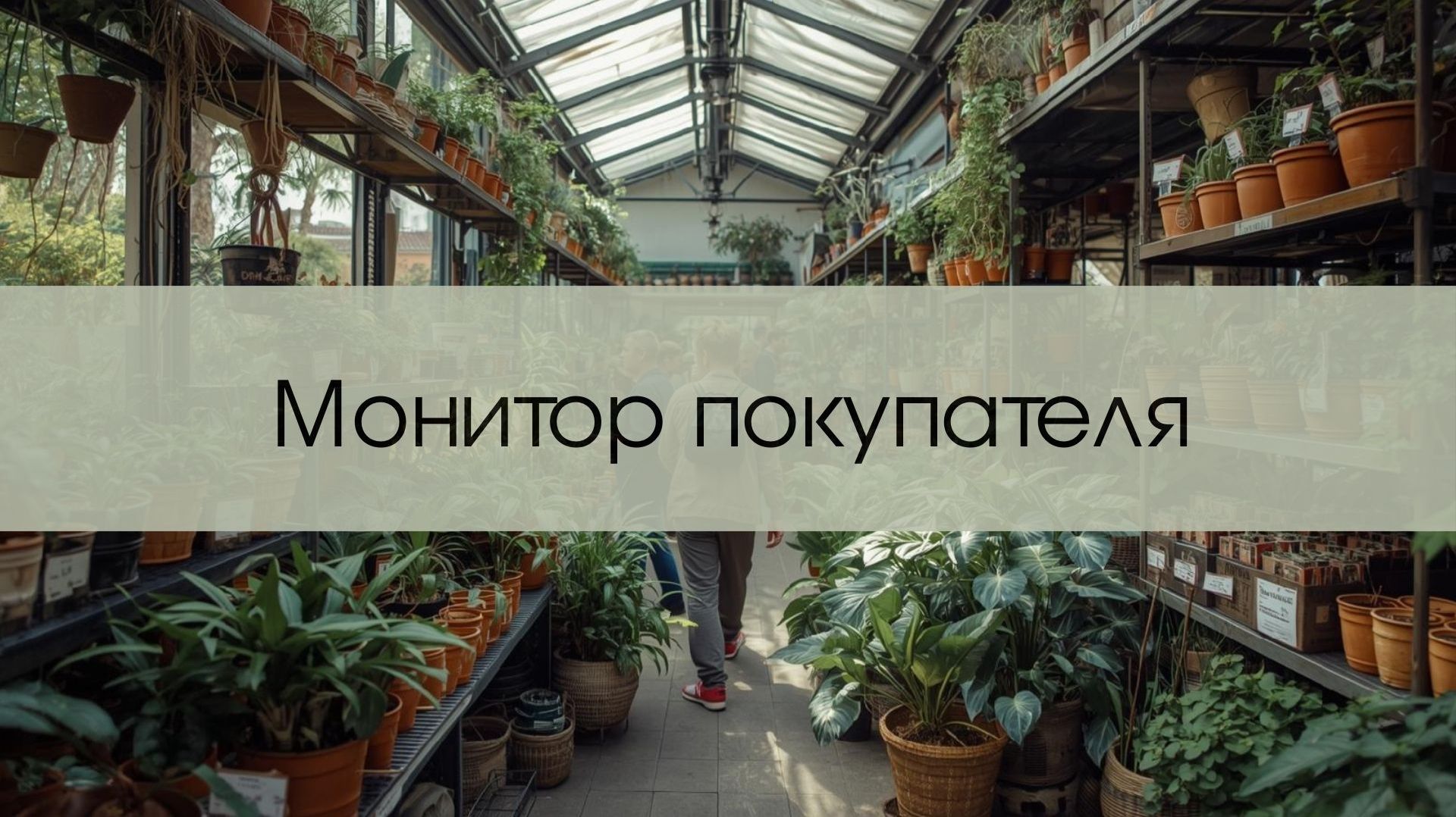 Монитор покупателя