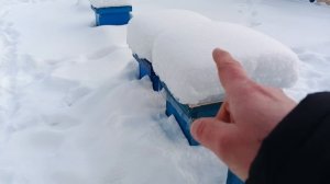 22.01.26. Пасека в сугробах! Мед пчелам! Расплод в фуре!