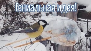 Почему я Раньше до этого не додумался, Как сделать Кормушку для птиц за 3 минуты!