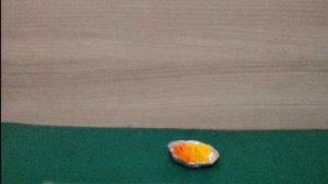 potato free(cooking animation)