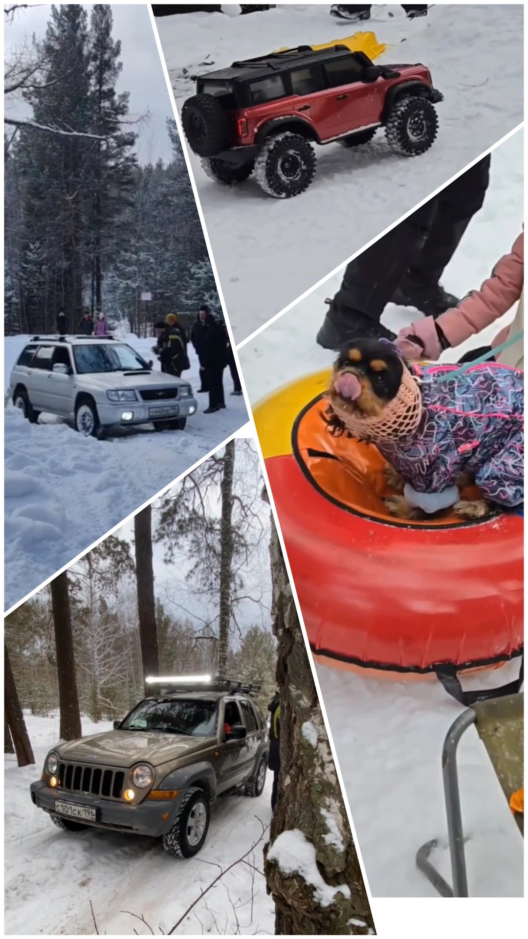 18.01.2025 Северка Солнечная поляна смотреть онлайн
