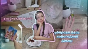 |ГИГАНТСКИЙ ВЛОГ| •убираем весь новогодний дэкор• |ВЛОГ ОТ КАЛЕРИИ| 🪻
