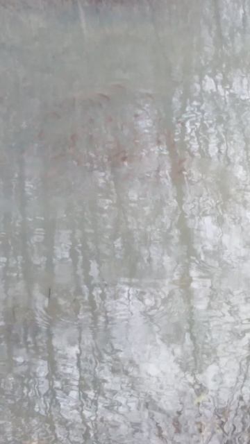 ✔Тайна лесного🌿 озерка💧✔