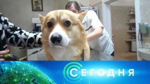 «Сегодня»: 22 января 2026 года. 16:00 | Выпуск новостей | Новости НТВ