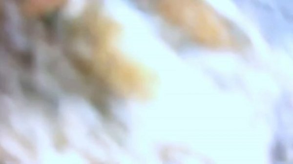 Погоня за крабом