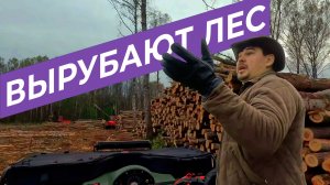 ВОТ ТАКАЯ РЫБАЛКА | РУБЯТ ЛЕС | ЛОШАДИ ВСЕ СЪЕЛИ