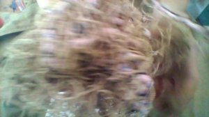 Самоделки для СВО. ИМС-индивидуальная маскировочная сеть