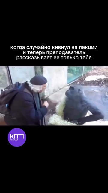 Узнали того самого? 😅