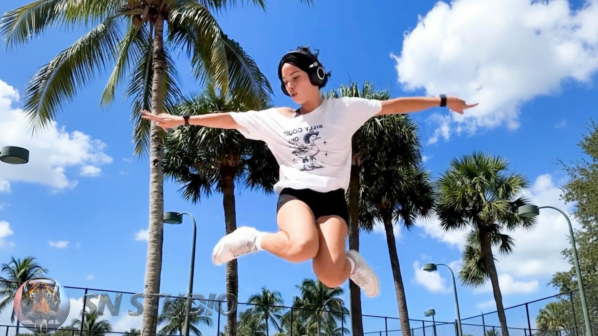 ♫ Steve Miller Band - Abracadabra (Difree Remix SN Studio Edit) ♫ Шаффл Дэнс Видео