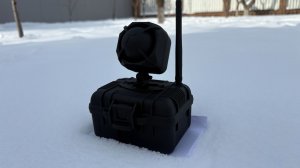 Манок на хищника крик битого зайца