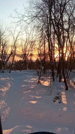 утро с рэборном