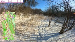 Тренировка "50 оттенков зелёного" + мороз и солнце. 18.01.2026. Ориентирование от первого лица.