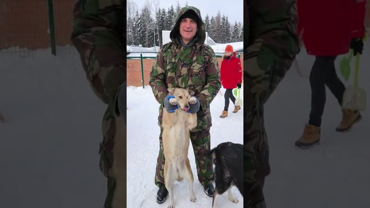 Как был сделан суперкадр дня. Волонтеры 