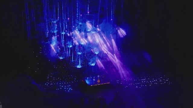 Концерт в лесу для группы Zventa Sventana | SMARTLIGHT