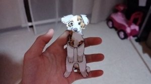 Новая собачка породы Австралийская овчарка❤️🔥