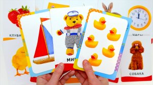 Запуск Речи для Малышей. Карточки Домана.
