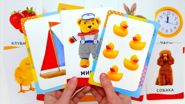 Запуск Речи для Малышей. Карточки Домана.