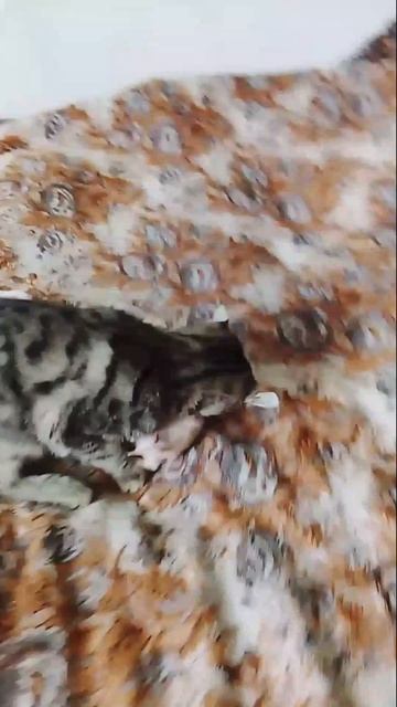 новости спорта смотреть онлайн