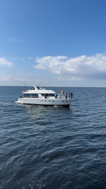 IMG_8683 смотреть онлайн