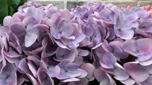 ЛЕМАНА ПРО | ВЕСНА 2026 НОВИНКИ | ОБЗОР ДЕКОР для ДОМА