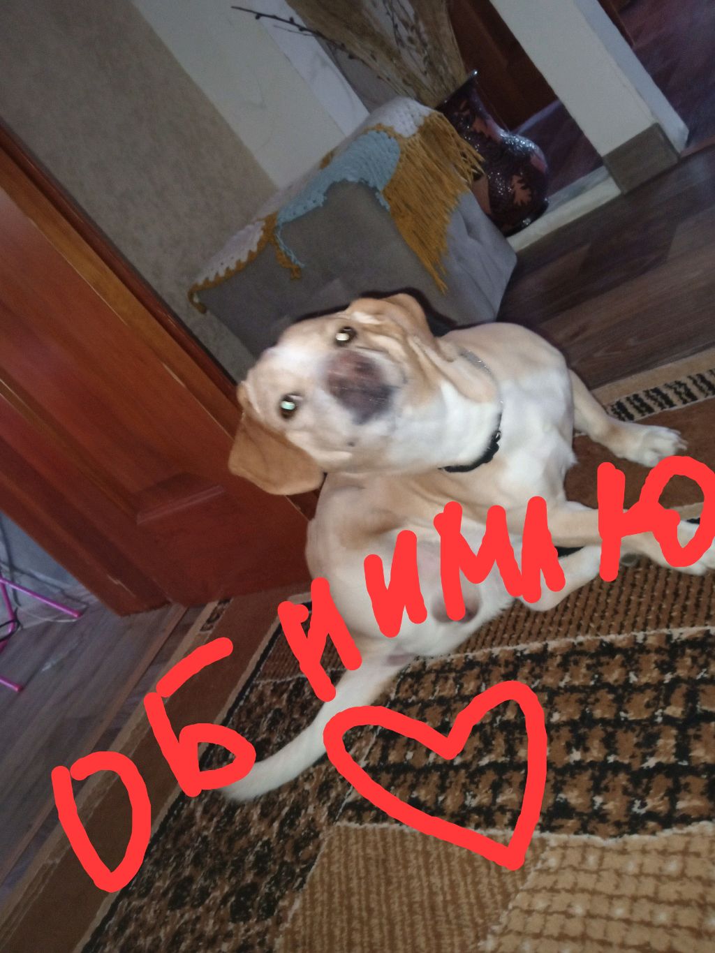 тг канал Ane4ka смотреть онлайн