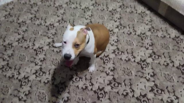 Морозы, пока сидим дома!!!!