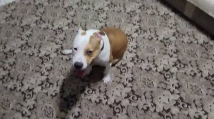 Морозы, пока сидим дома!!!!