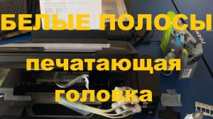 БЕЛЫЕ ПОЛОСЫ при печати на принтере EPSON L355 как разобрать, почистить и собрать печатающую головку