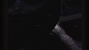 RESTRICTED_conditioning_1990