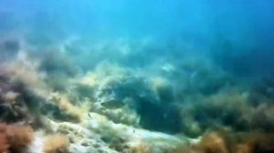 2022 Заозёрное